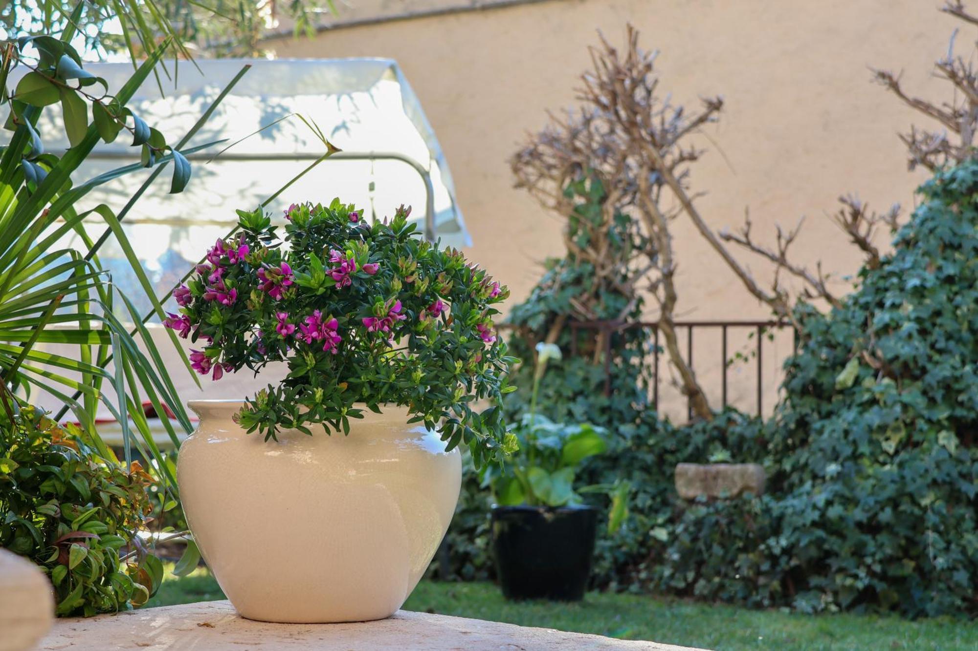 Aurelia Maison Vérone Extérieur photo